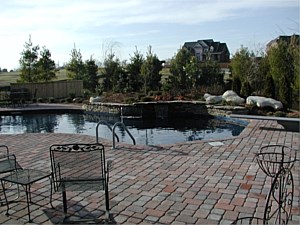 Photo 44